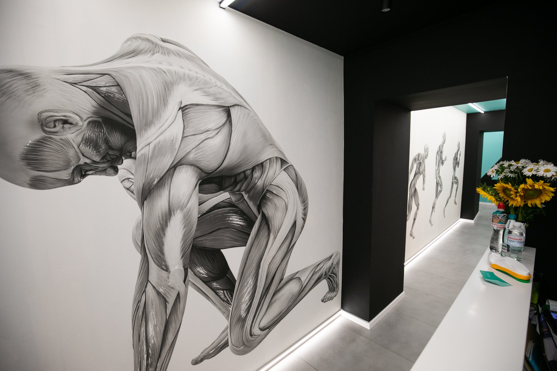 Реабілітаційний центр "Zarpa"